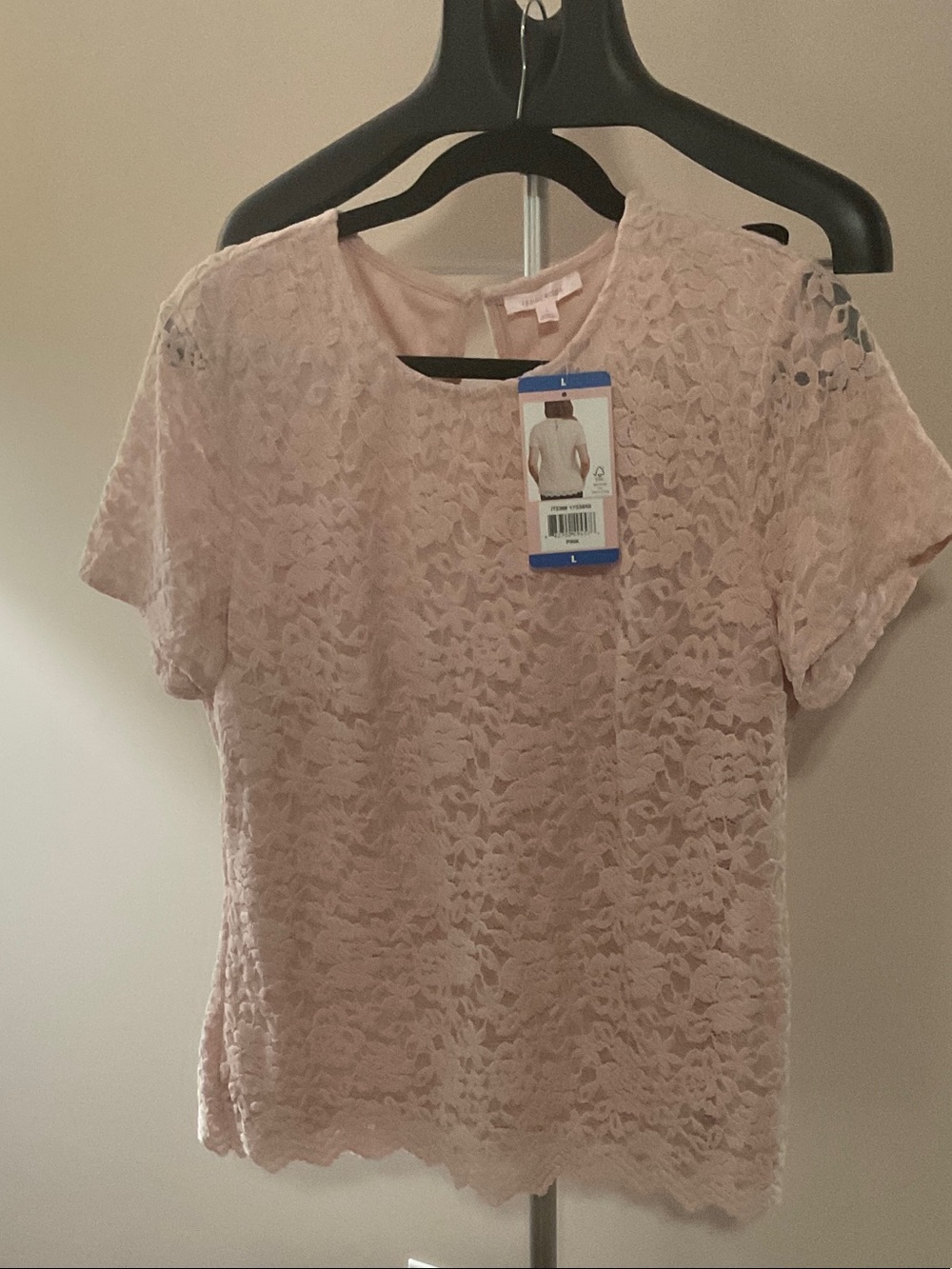Lace Short-Sleeve Top in Light Pink